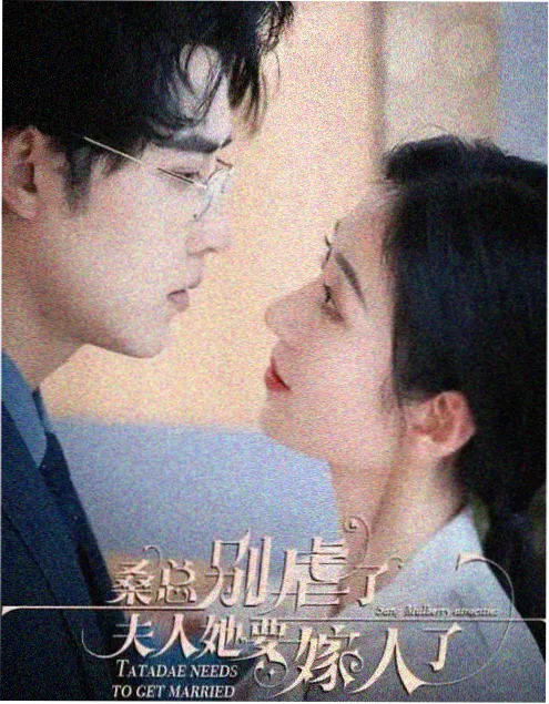 八戒影院在线观看 雾中来客 年代剧集海报